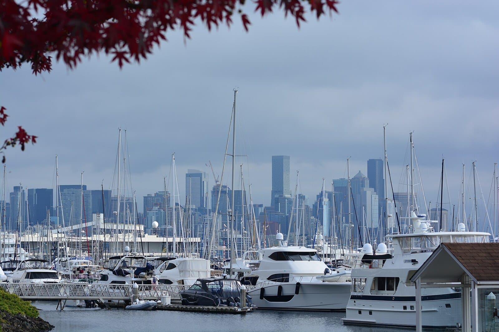 Elliott Bay Marina — view