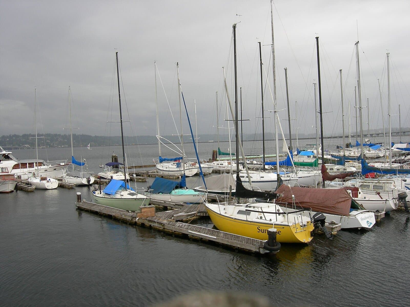 Leschi Marina — view