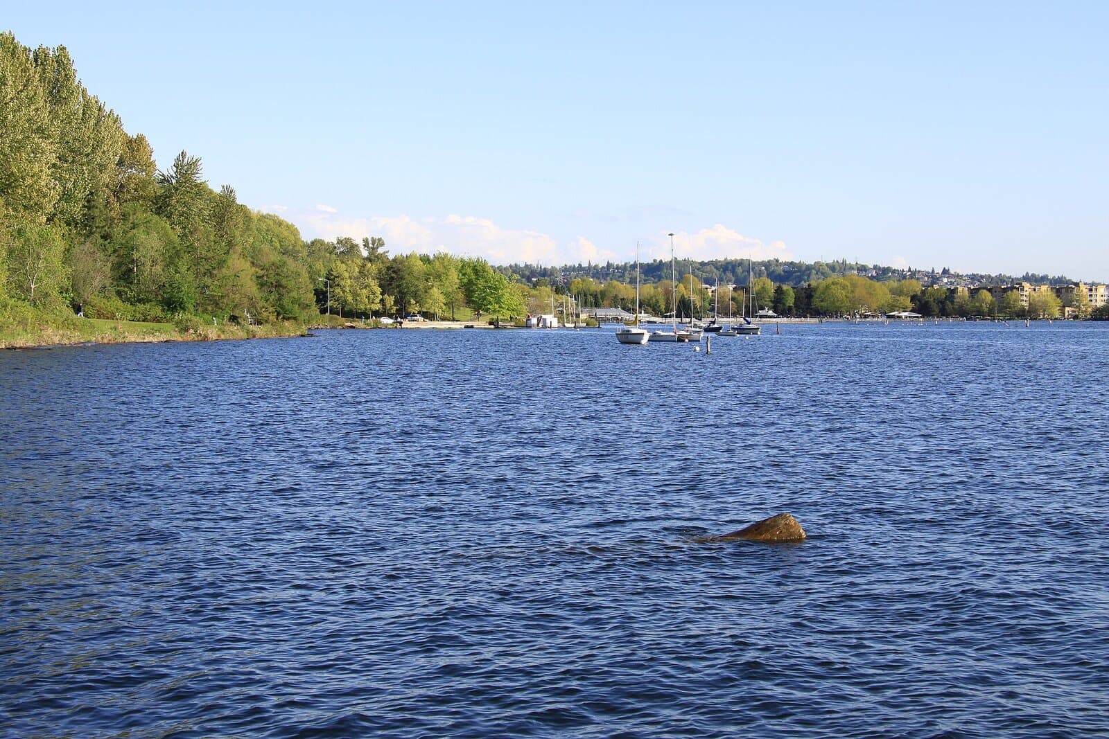Gene Coulon Memorial Beach Park — aerial