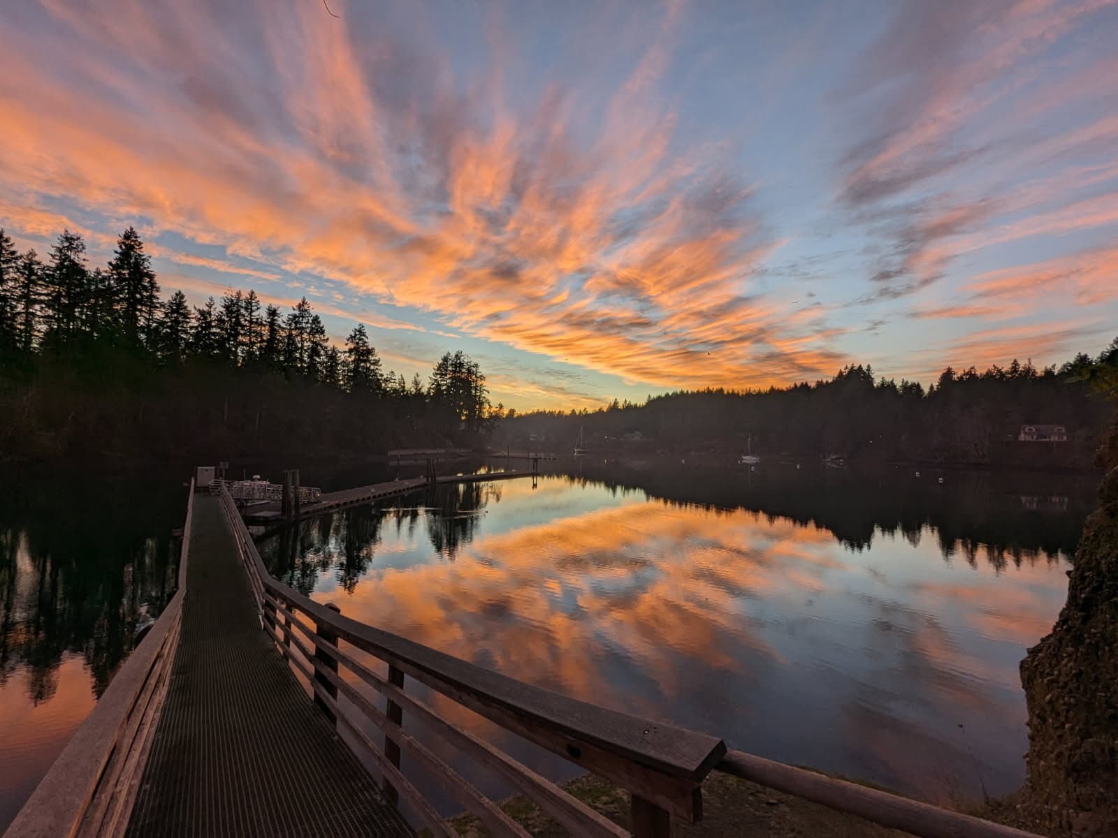Jarrell Cove State Park — view