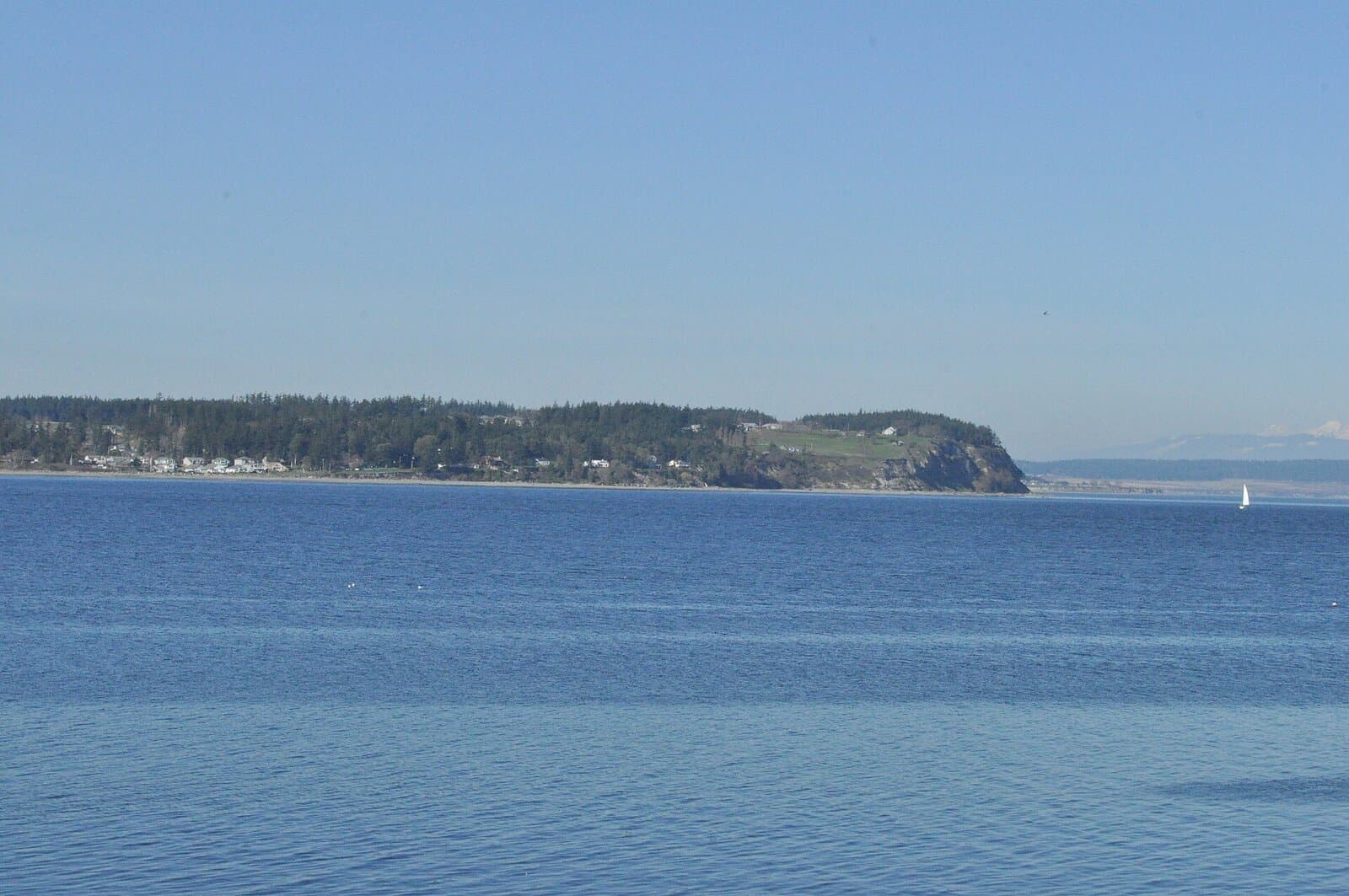 Coupeville Wharf (Penn Cove)
