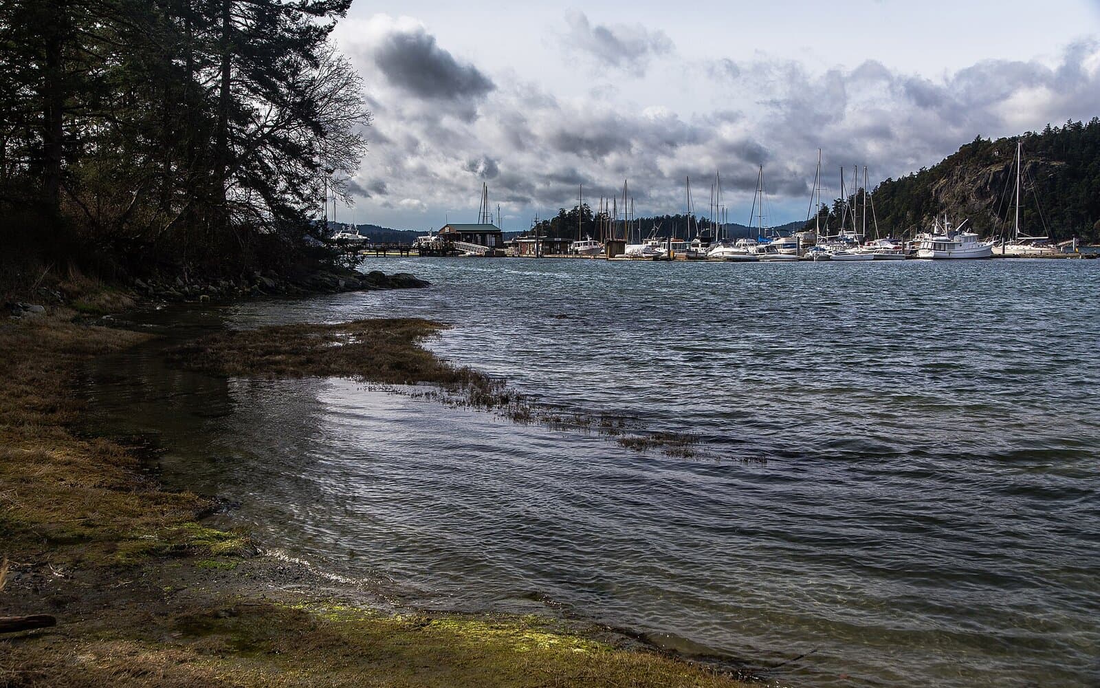 Deer Harbor Marina (Orcas Island)
