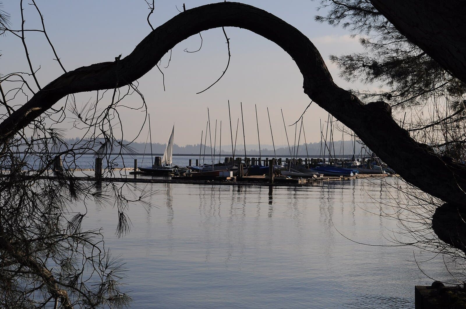 Leschi Marina