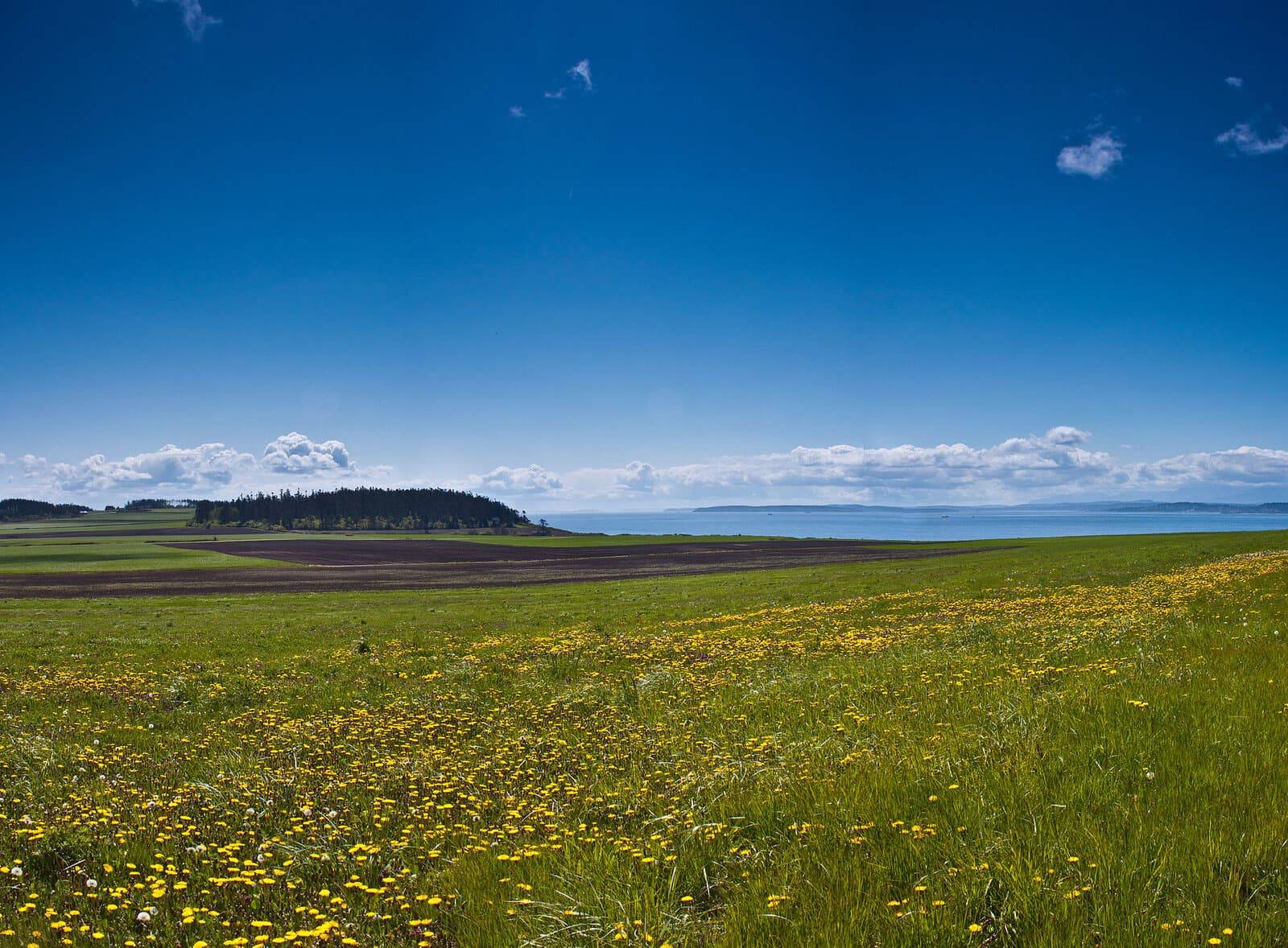 Ebey's Landing National Historical Reserve