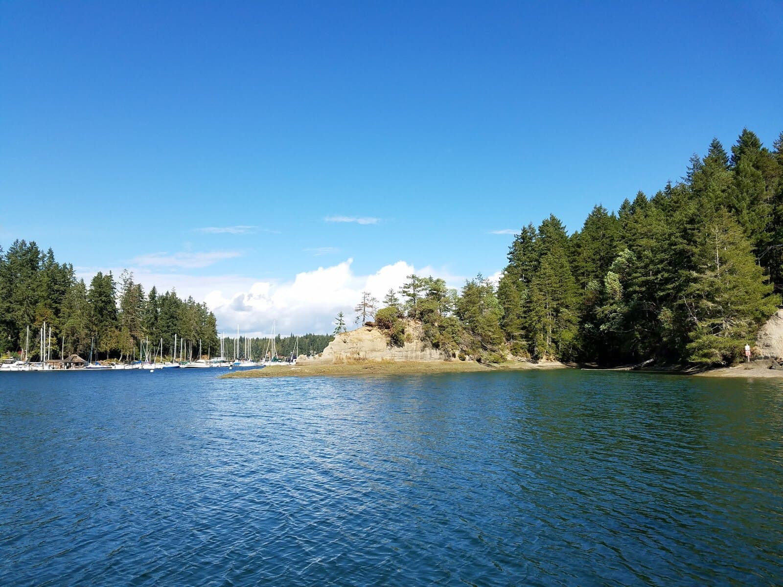 Jarrell Cove State Park