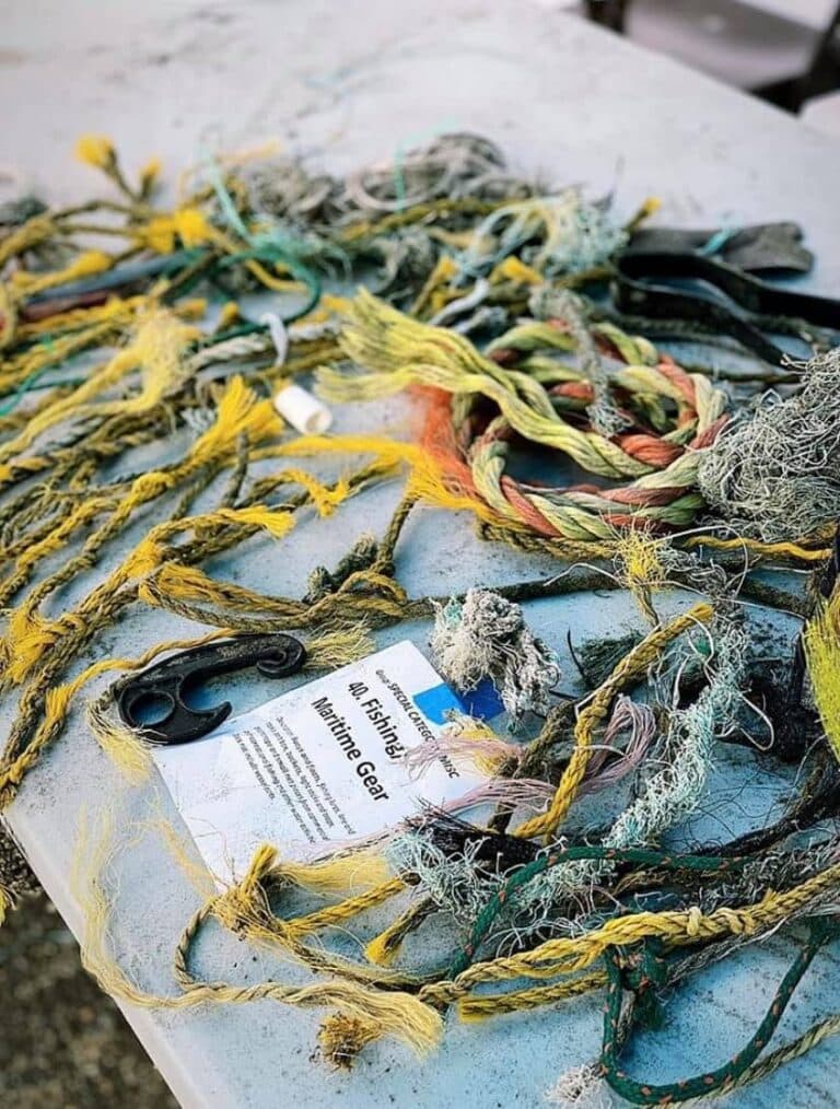 Make a Difference, Join the International Beach Cleanup on Sept. 19